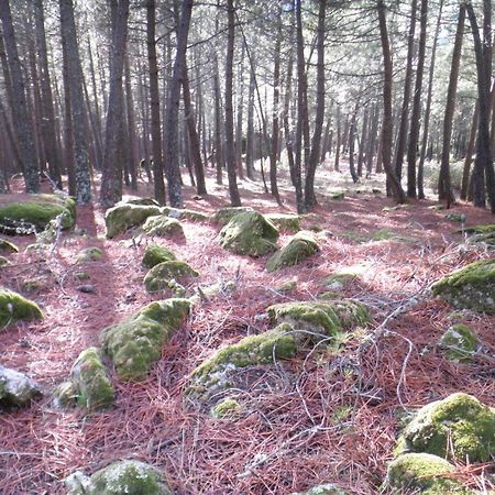 La Chova Villa Piedralaves Eksteriør billede